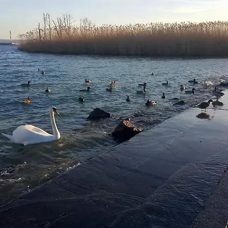 Fig Tree House Lovas