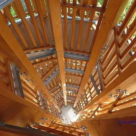 別荘 Fig Tree House