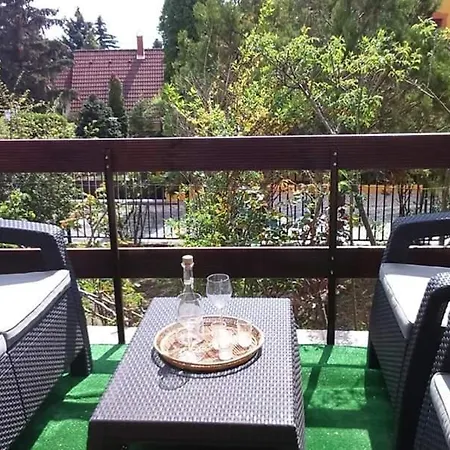 Fig Tree House 別荘 *