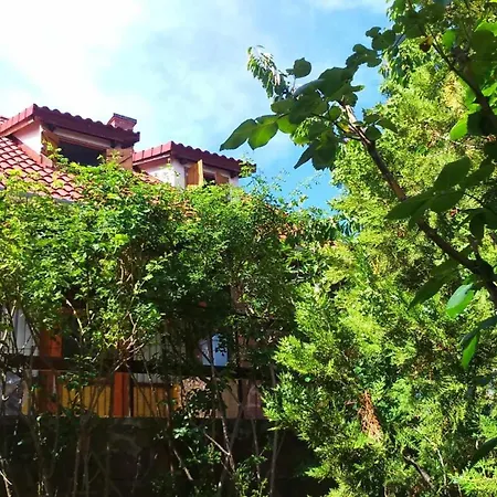 Fig Tree House * Lovas