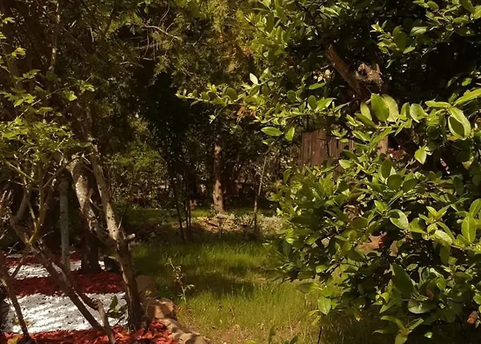 Fig Tree House Lovas